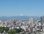 【實戰 PK】手機拍照誰最強！6 大旗艦機東京實拍對決（內有大量實拍測試）