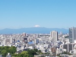 【實戰 PK】手機拍照誰最強！6 大旗艦機東京實拍對決（內有大量實拍測試）