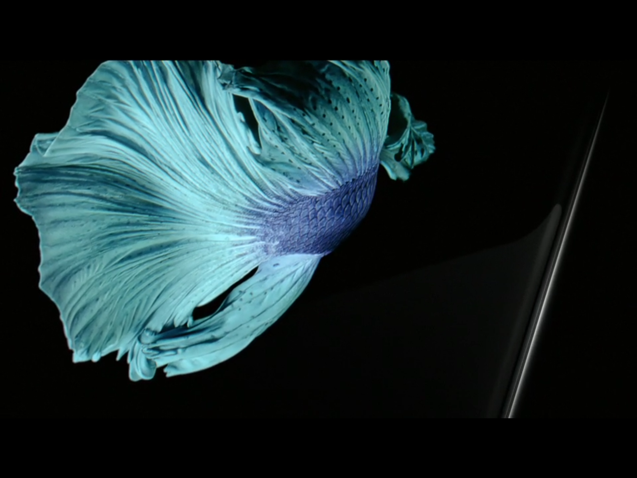 掌握每個時刻！ 2015 Apple 秋季新品發表會直播報導