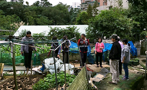 北市登革熱
爆群聚感染