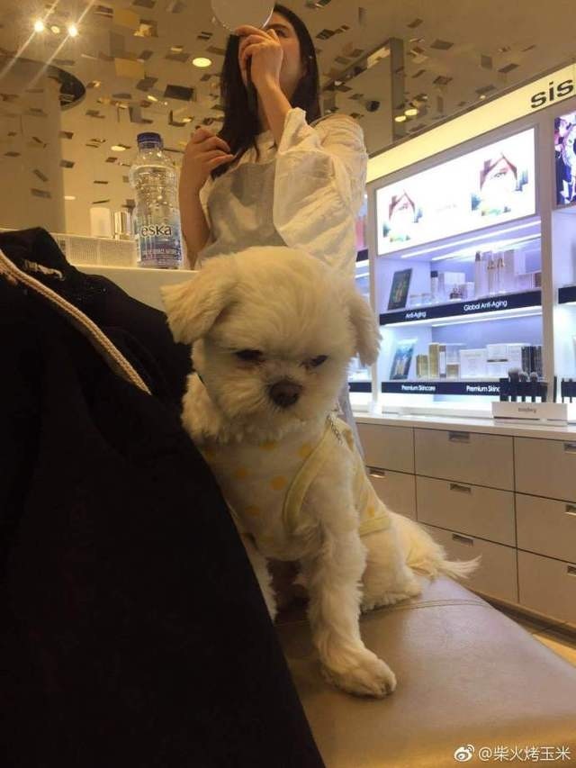 王祖賢露肩秀性感 胖一圈仍飄仙氣