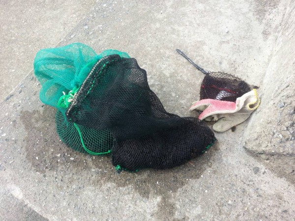 游男的海菜在車上，但人不見蹤影。（記者吳政峰翻攝）