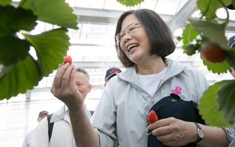 蔡英文讚許屏東綠能結合農業的新產業型態。(翻攝蔡英文臉書)