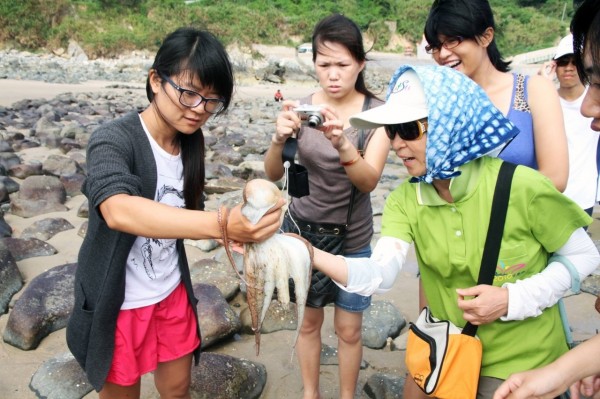 莒光海洋觀光年八月登場,有各式各樣海洋活動,圖為民眾近距離觀賞章魚。(莒光鄉公所提供)