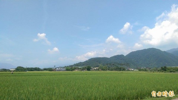 農業處澄清,農會放款狀況沒有萎縮。(記者簡惠茹攝)