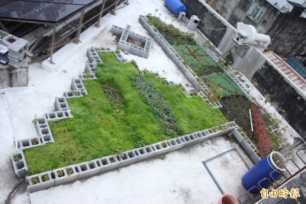 東港高中綠屋頂,目前植物園的外形就打造成帆船,旁邊還有黑鮪魚,盡顯東港特色。(記者陳彥廷攝)