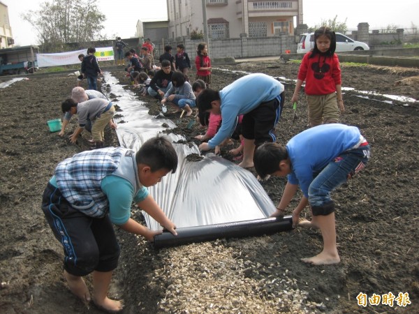 文武國小學童鋪設帆布,栽植瓜苗。(記者張軒哲攝) alt