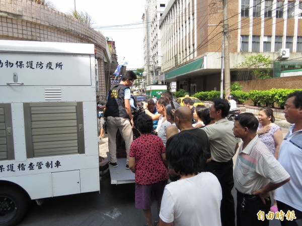民眾搶拍捕獲的彌猴。(記者林欣漢攝)