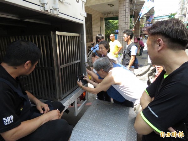民眾搶拍台灣彌猴。(記者林欣漢攝)