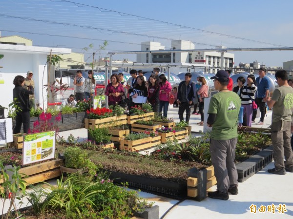 台南環保局辦公室樓頂打造「微森林綠屋頂」,未來將作推廣到社區大樓及公有建築樓頂、陽台。(記者蔡文居攝)