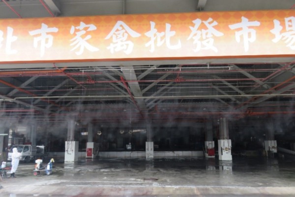 台北家禽批發市場確診已感染禽流感H5N8亞型雞隻。(圖由台北市動保處提供)