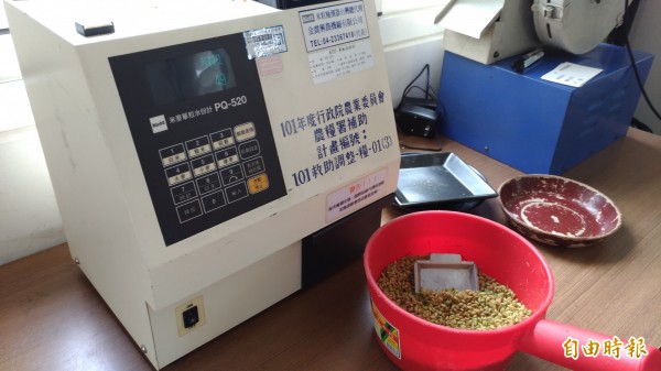 收購稻穀溼度仍偏高。(記者廖淑玲攝)
