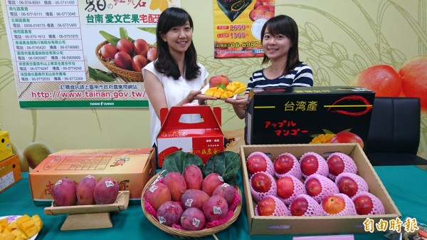 台灣下單、日本取貨,台南愛文芒果搶攻高單價的日本市場。(記者楊金城攝)