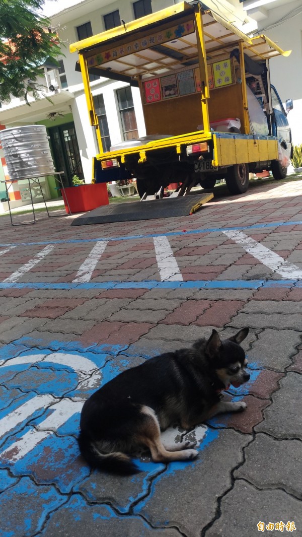 流浪狗「MONEY」和林波夫婦作伴全台行善。(記者廖淑玲攝)