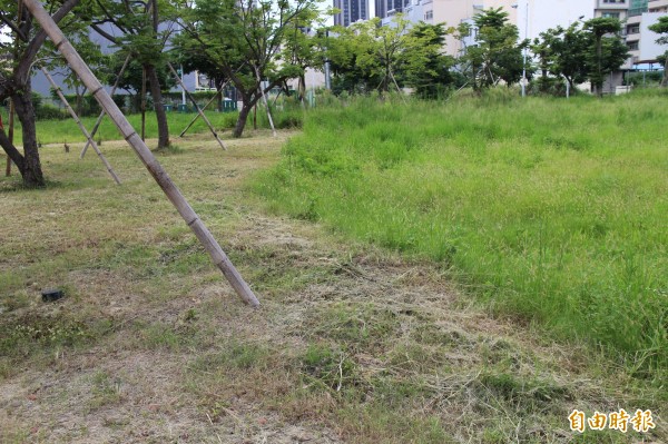 新竹縣竹北市莊敬北路旁的公16雜草叢生,社區自主修剪靠近土地廟的綠帶,但卻呈現「陰陽海」般,同塊土地1邊雜草叢生,另1邊修剪整齊的樣貌。(記者黃美珠攝)