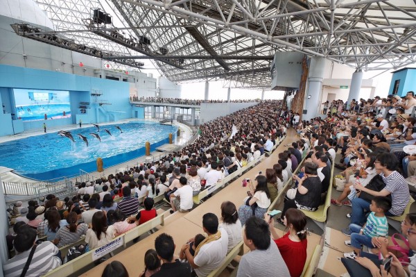 桃園市長鄭文燦率市府團隊訪日，今天拜會日商株式會社橫濱八景島社長布留川信行，並參訪水族館。（圖由桃園市政府提供）