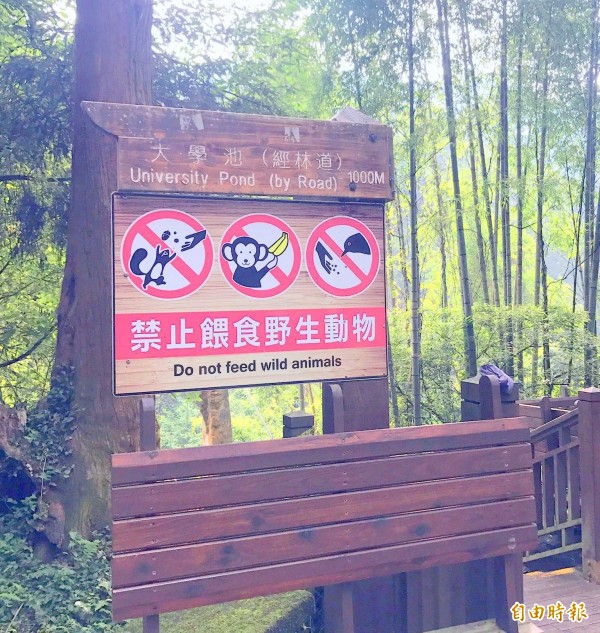 溪頭自然教育園區豎立「禁止餵食野生動物」的告示牌，希望遊客遵守。（記者謝介裕攝）