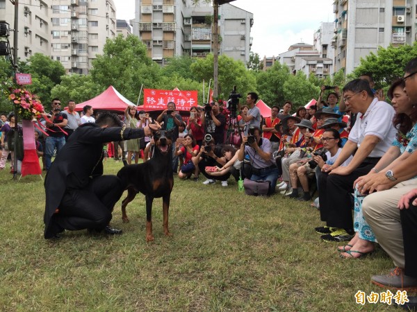 台北市長柯文哲今日出席士林商圈公益活動，活動現場安排15隻名犬走秀。（記者周彥妤攝）