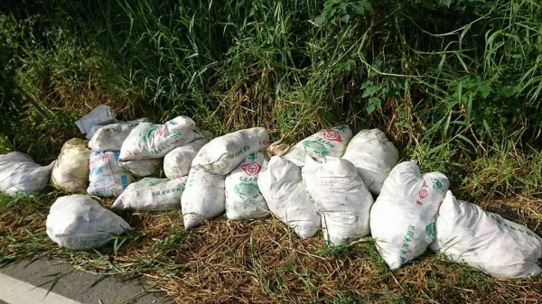 麥寮雷厝村產業道路旁遭人放置近20袋死雞。（截圖自「我是麥寮人」臉書社團）