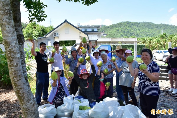 宜蘭冬山鄉民藍鼎鈞夫婦充滿愛心，開放果園讓弱勢團體免費採柚的善行，已默默進行多年。（記者張議晨攝） 