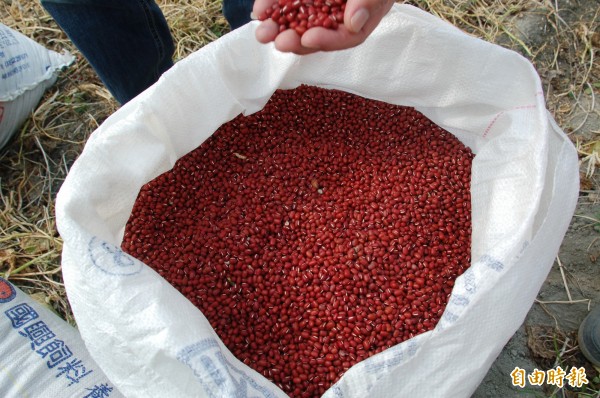 萬丹農會今年紅豆契作面積達120公頃,收購數量超過370噸,受進口紅豆數量大增影響,農會至今出貨僅50餘頓。(記者李立法攝)