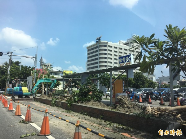 屏東夜市停車場整建，成排的樹木被亂砍。（記者葉永騫攝）