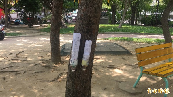 彰化縣員林市的員林公園近來出現2棵「行醫樹」,樹上掛滿放有紙捲的紙筒,紙捲打開一看,盡是「生男、生女秘方」、「各式治癌藥方」(記者顏宏駿攝)