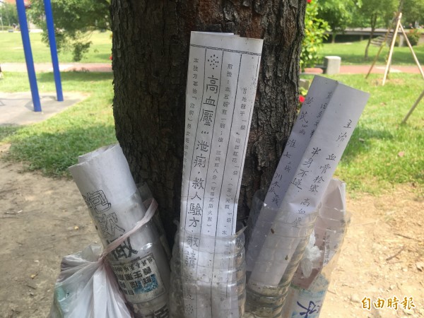 彰化縣員林市的員林公園近來出現2棵「行醫樹」,樹上掛滿放有紙捲的紙筒,紙捲打開一看,盡是「生男、生女秘方」、「各式治癌藥方」(記者顏宏駿攝)
