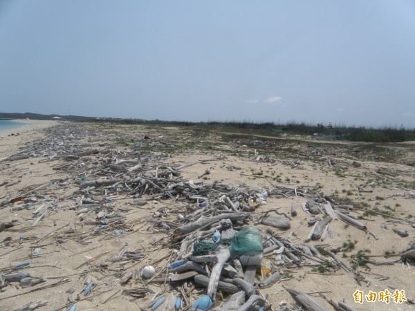 原本湖西龍門後灣沙灘，漂流木堆積如山髒亂不堪。（記者劉禹慶攝）