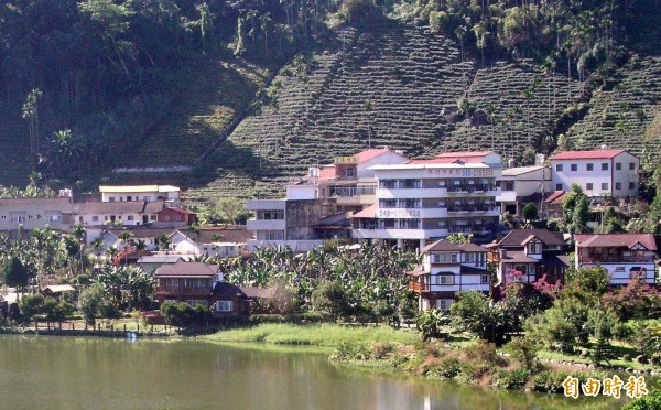 南投縣鹿谷鄉麒麟潭與茶園交織出的田野景象，十分美麗，惟103年至105年期間，毒品再犯率係南投縣最高，令人難以想像。（記者謝介裕攝）