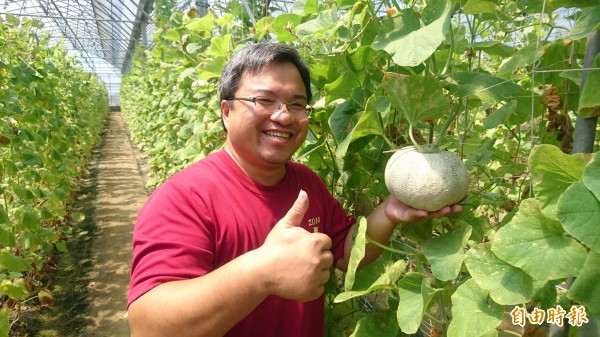 科技新農人賴建良打造自動化溫室，以無農藥栽種洋香瓜，1株瓜苗只精心培育1顆。（記者楊金城攝）
