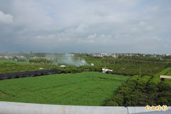 露天焚燒，空氣難聞。（記者陳彥廷攝）