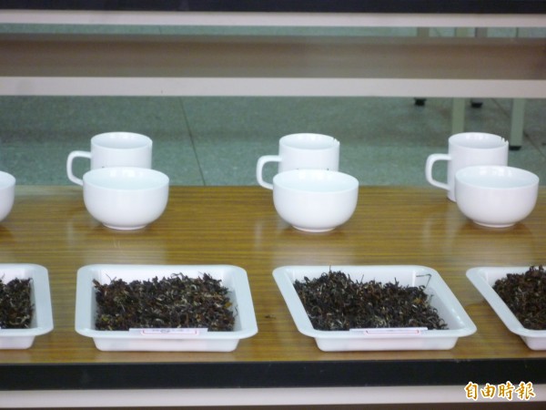 茶友楊師昇表示，同一個茶，經過比賽得獎，等同於獲得官方「認證」，價格三級跳，因此新竹縣政府應該澈底檢討現行東方美人茶（膨風茶）茶賽制度，保障消費者的權益。（記者廖雪茹攝）