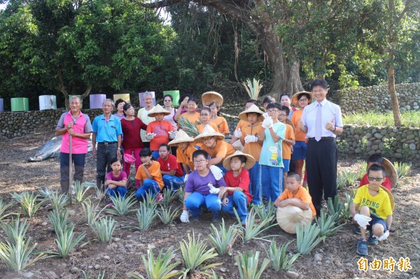 復興社區社區阿公教阿孫種鳯梨，老人家重拾自信，小朋友親近土地。（記者顏宏駿攝）