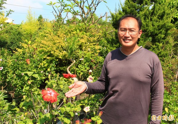 李建龍表示，扶桑花品種多，單價低，加上終年開花，近年買氣不斷提升。（記者陳冠備攝）