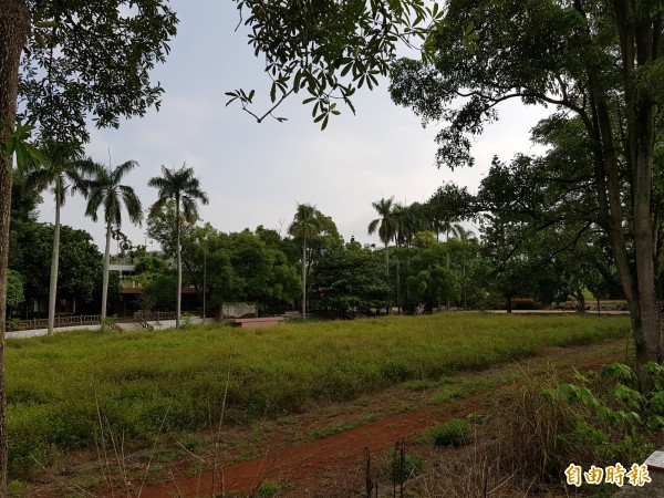 廢校12年的崎內國小，因缺乏管理，校園荒煙漫草，蓊鬱林木中殘破景象令人唏噓。（記者王涵平攝）