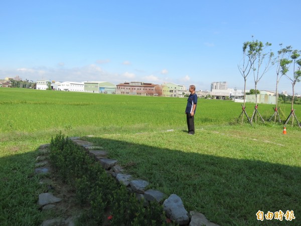 中市烏日光明社區有一處與農田連成一片的公園，不但可看夕陽，還可看稻浪（記者蘇金鳳攝）