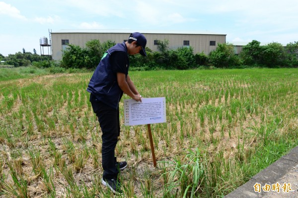 桃園市環保局人員前往列管農地擺放告示牌。（記者陳昀攝）