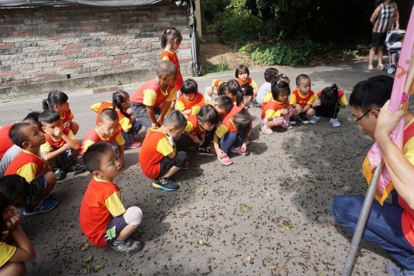 圳堵國小附設幼兒園小朋友透過地面上的鳥糞及樹的落果等觀察鳥蹤。（圖由圳堵國小提供）