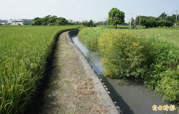 員林市大饒中排遇大雨就淹水，造成民眾生命財產損失不斷，整治工程近日將動工。（記者陳冠備攝）