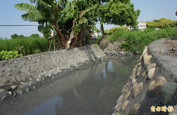 員林市大饒中排是舊式鵝卵石堤防，承水量窄，遇大水容易溢堤，淹漫至鄰近農田。（記者陳冠備攝）