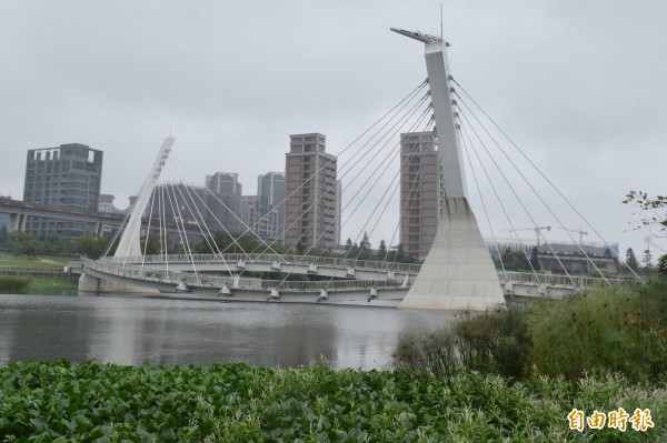 青塘園以雙塔設計的斜張景觀橋，從「青塘園遊客中心」（右下）可飽覽優美景色、綠意盎然。（記者李容萍攝）