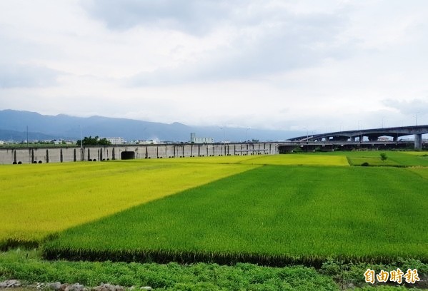 宜蘭違規農舍房屋稅加計利息擬退還。（記者簡惠茹攝）