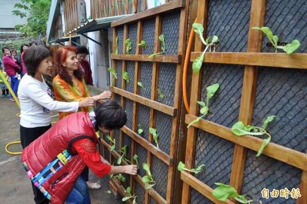 大溪區仁義里的「街角菜園」，讓居民覺得實用又有趣。（記者周敏鴻攝）