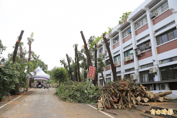 屏東科技大學修剪校樹,將整排路樹通通砍頭處理,引發學生疑慮;屏科大回應,修剪校樹是為了移植及預防性修剪。(記者邱芷柔攝)