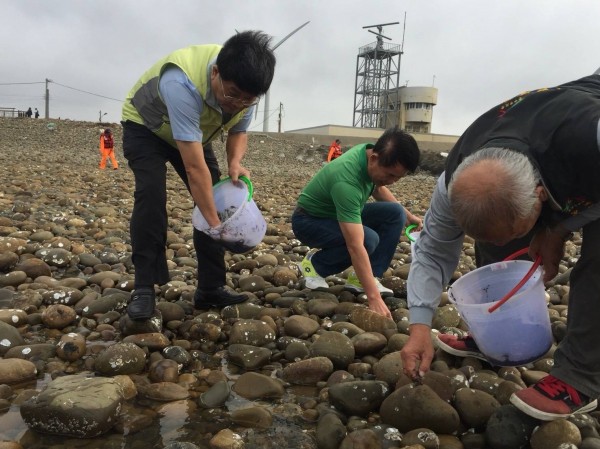 農業局舉辦海瓜子簾蛤放流復育活動，市議員吳敏濟（中）也到場參與。（農業局提供）