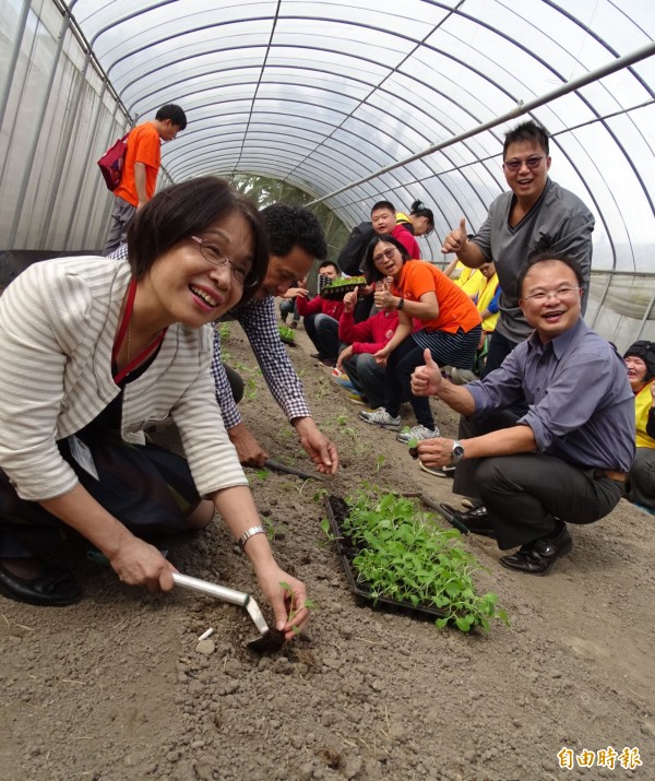 桃園市大溪區「康莊有機聚落」的有機蔬果種植。（記者李容萍攝）