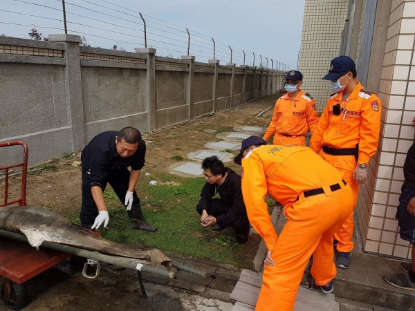 大甲松柏港北側沙灘出現死亡鯨豚，經第三海岸巡防總隊運回安檢所，請來鯨豚協會人員，初步判定應為保育的中華白海豚。（記者歐素美翻攝）