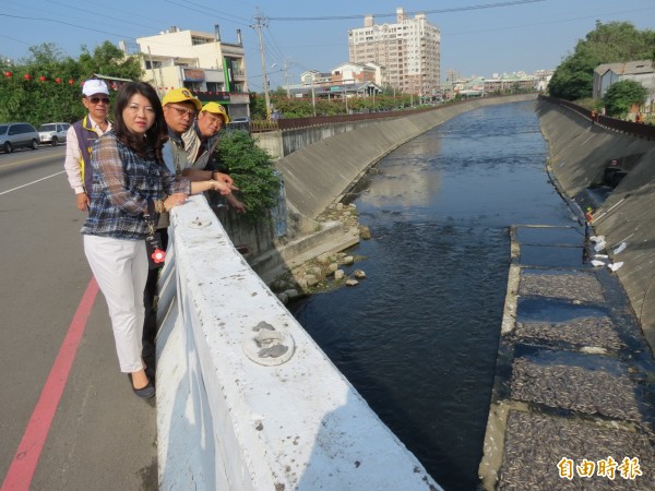 市議員吳瓊華前往烏日前德橋下，了解柳川出現大量魚群死亡的情形。（記者蘇金鳳攝）