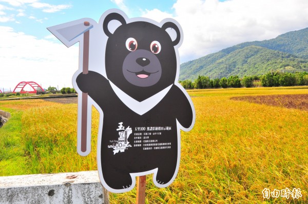 玉里熊讚彩繪稻田以玉里高中設計的「玉里熊讚」為圖案,與農民溫文良合作種彩色米田,也是玉里鎮百年慶系列活動之一。(記者花孟璟攝)